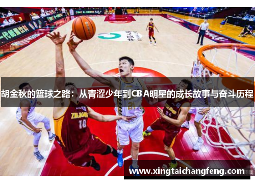 胡金秋的篮球之路：从青涩少年到CBA明星的成长故事与奋斗历程